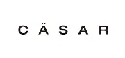 Job postings released by the シーザー株式会社.