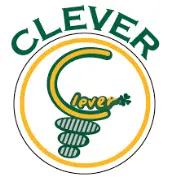 Job postings released by the クレバー株式会社.