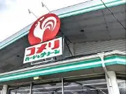 Job postings released by the 小売ハードグリーン信楽店.