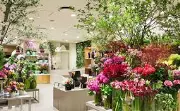 Job postings released by the フラワーショップ第一園芸株式会社、伊勢丹百貨店、新宿Br..