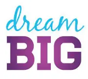 Job postings released by the Big Dream 株式会社.